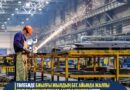 ТӨЛЕБИДЕ БИЫЛҒЫ ЖЫЛДЫҢ БЕС АЙЫНДА ЖАЛПЫ ӨҢІРЛІК ӨНІМ КӨЛЕМІ 53,1 МЛРД ТЕҢГЕГЕ ЖЕТТІ