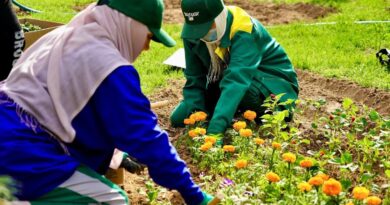 Кентау қаласы гүлмен көмкеріліп, көркі артып жатыр